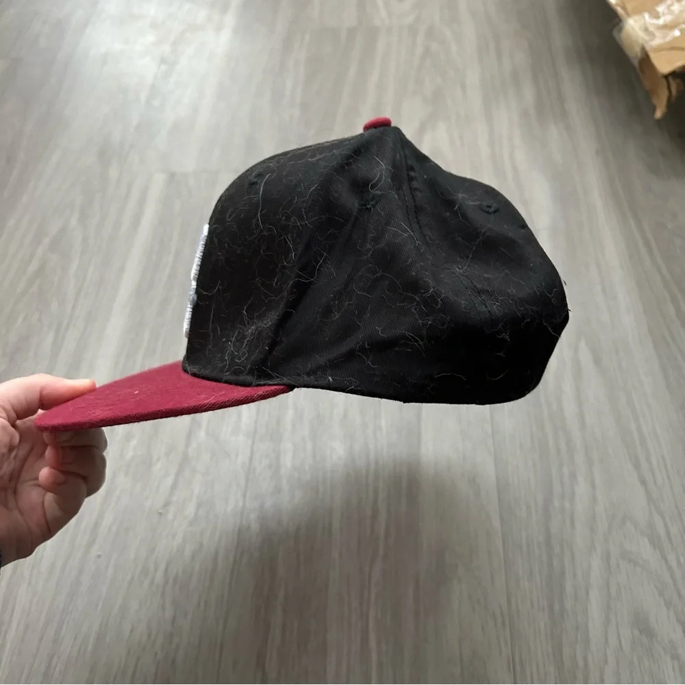 Baltimore elite giants negro league hat